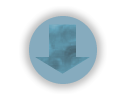 bouton